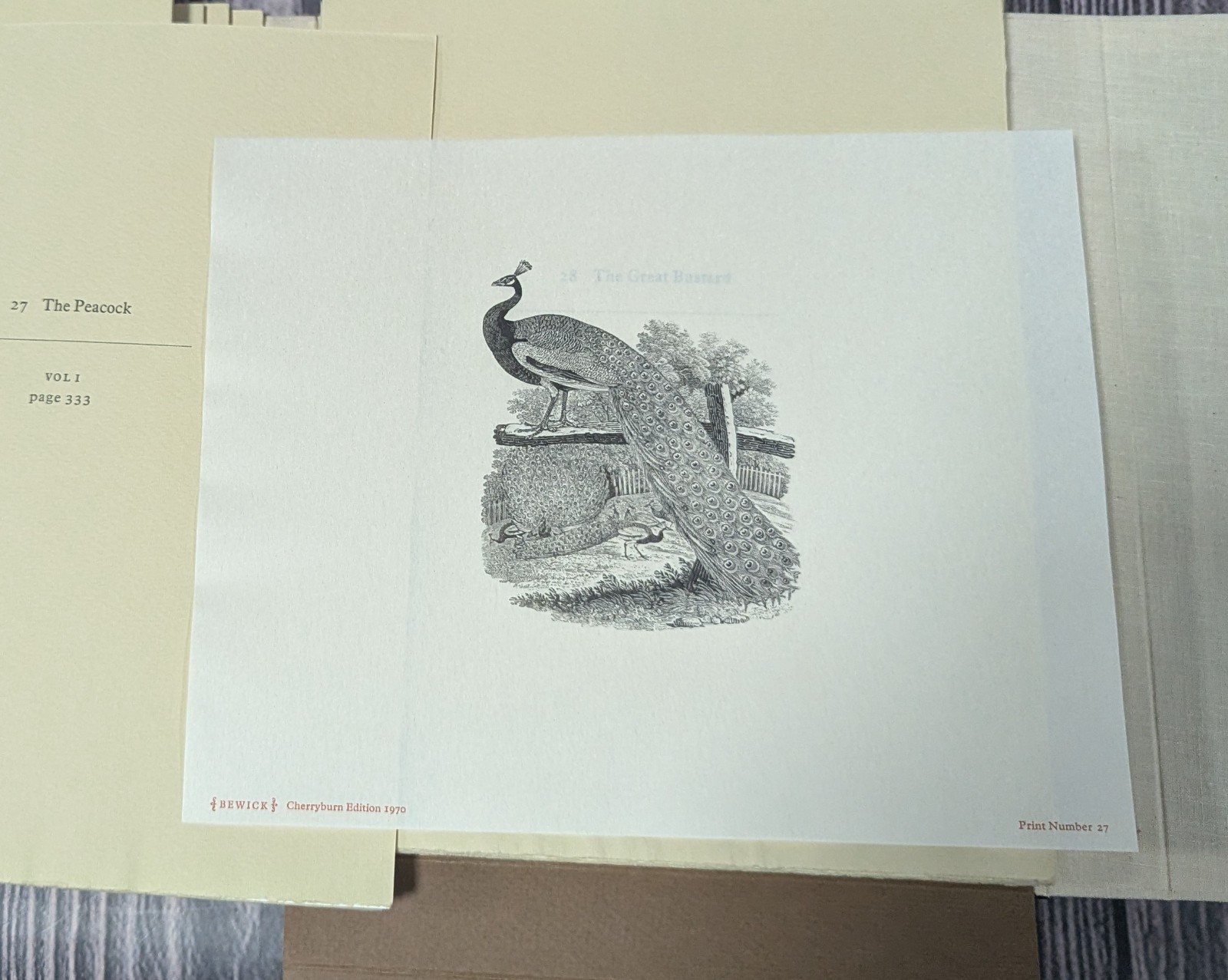 Portfolio of 100 Thomas Bewick Wood Engravings – 1970 Newberry Cherryburn Press