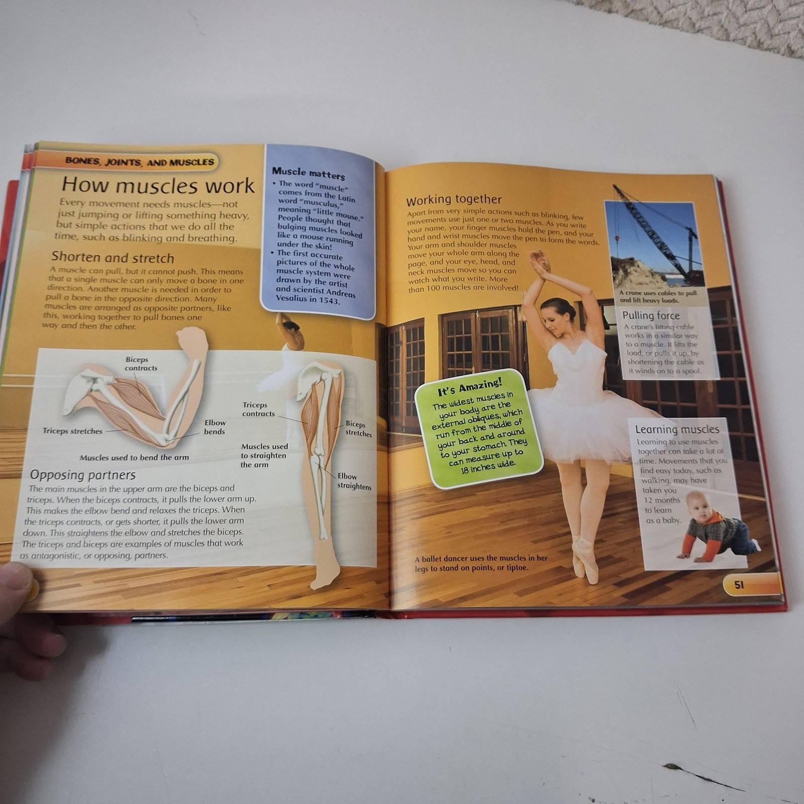 Children’s Human Body Encyclopedia Steve Parker Kids Science Book Hardcover