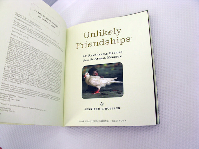 Unlikely Friendships Jennifer S Holland 2011 PB Animals Nature Relationships
