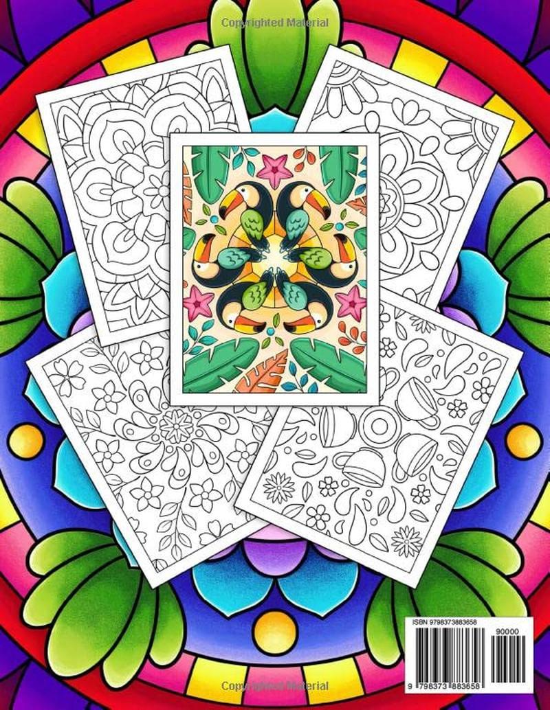Mindful Patterns Large Print Adult Coloring Book for Women: an Adult Coloring Bo