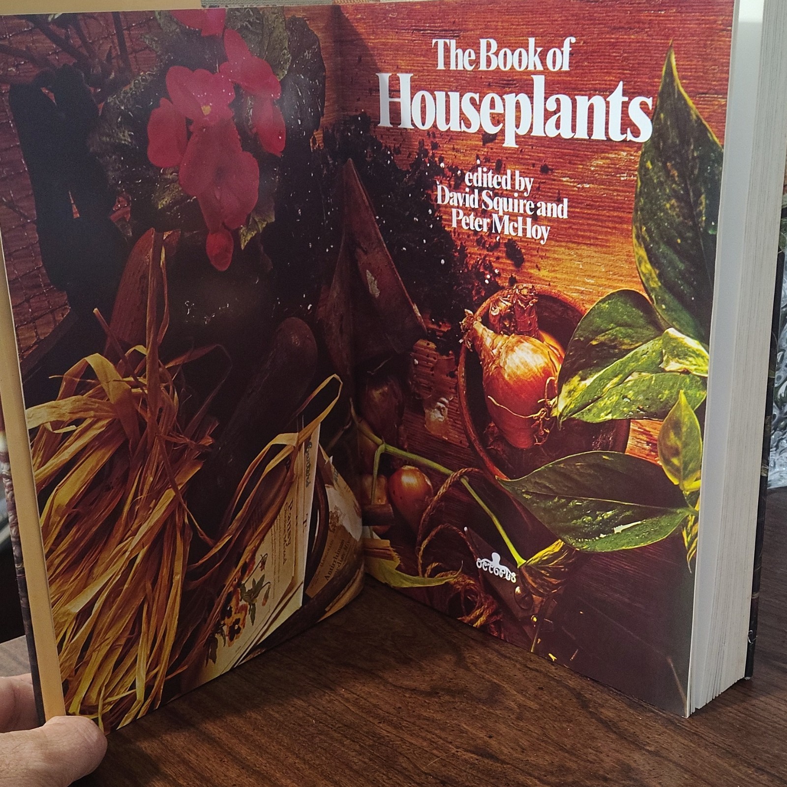 The Book of Houseplants by David Squire & Peter McHoy (1979, Hardcover, Octopus)