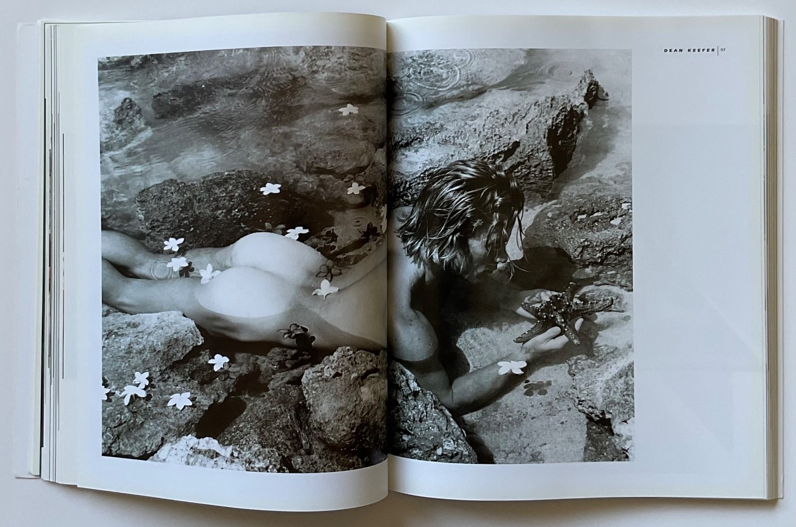 ADONIS Masterpieces of Erotic Male Photography OOP 1999 Book HERB RITTS ++++
