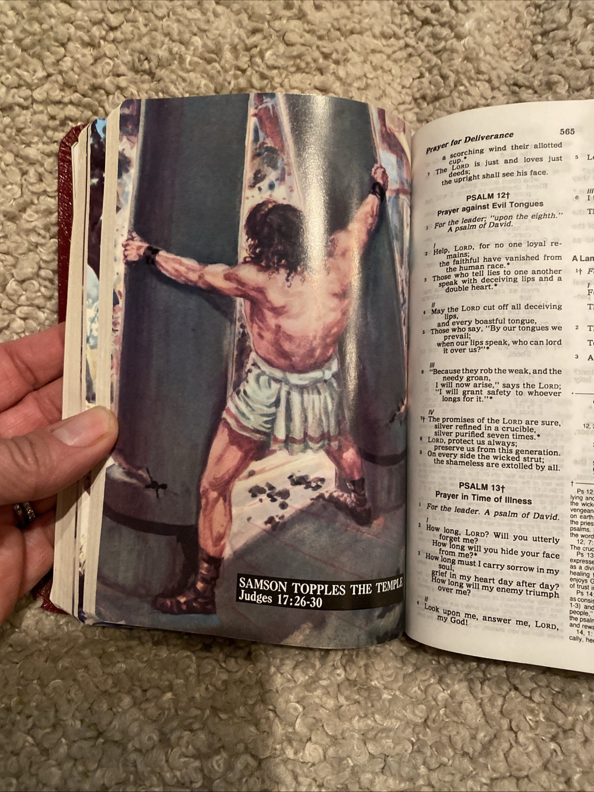 New American Bible Holy Bible Catholic Bible Press 1987