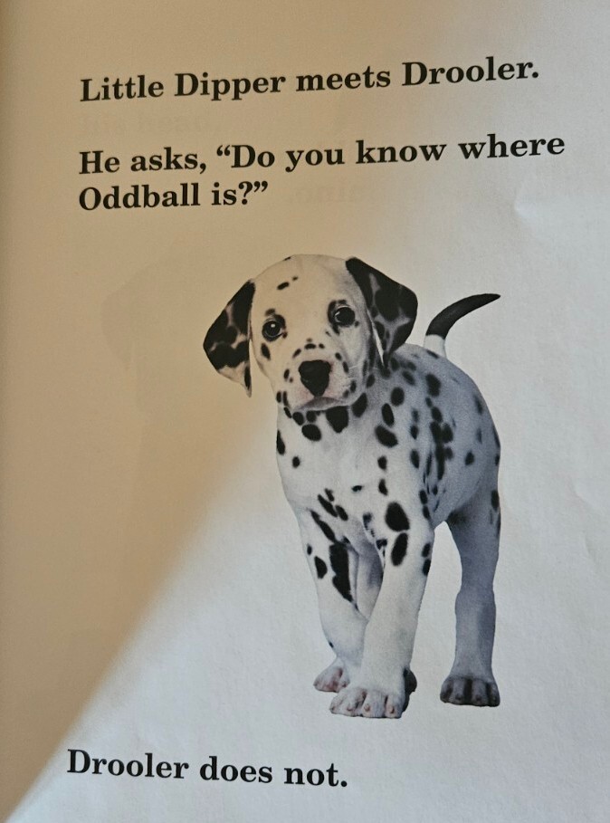 Disney Press 102 Dalmatians Wheres Oddball First Reader Children Paperback Book