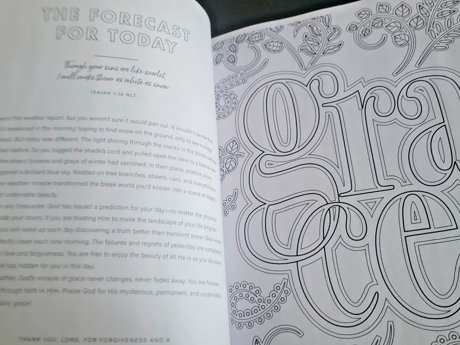 Special Edition Mindful Coloring – Everyday Faith-55 Devotions, Verses & Prayers