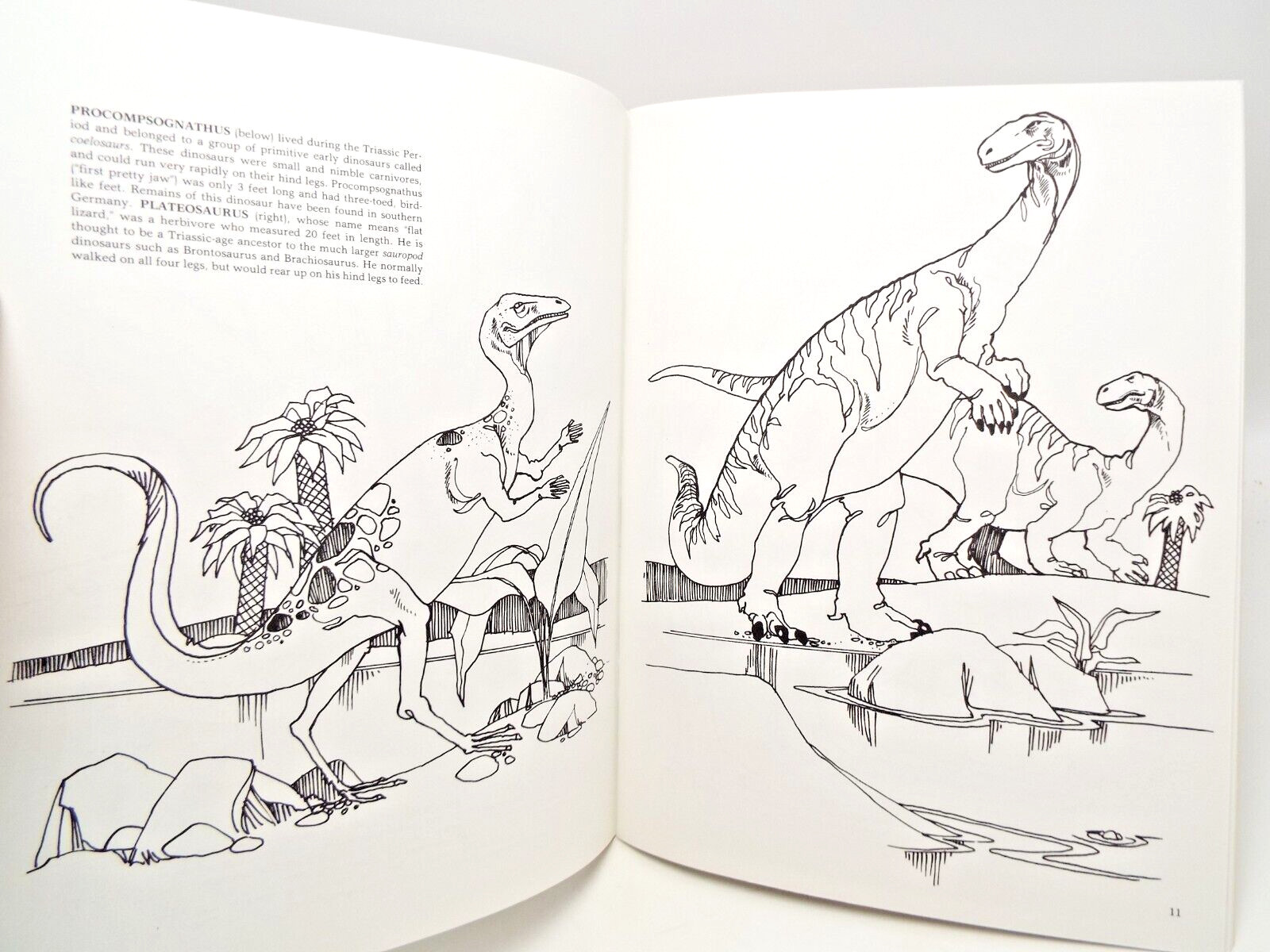 The Dinosaur Coloring Book by Anthony Rao (PB) & 2 Dinosaur Sticker Sets Vintage