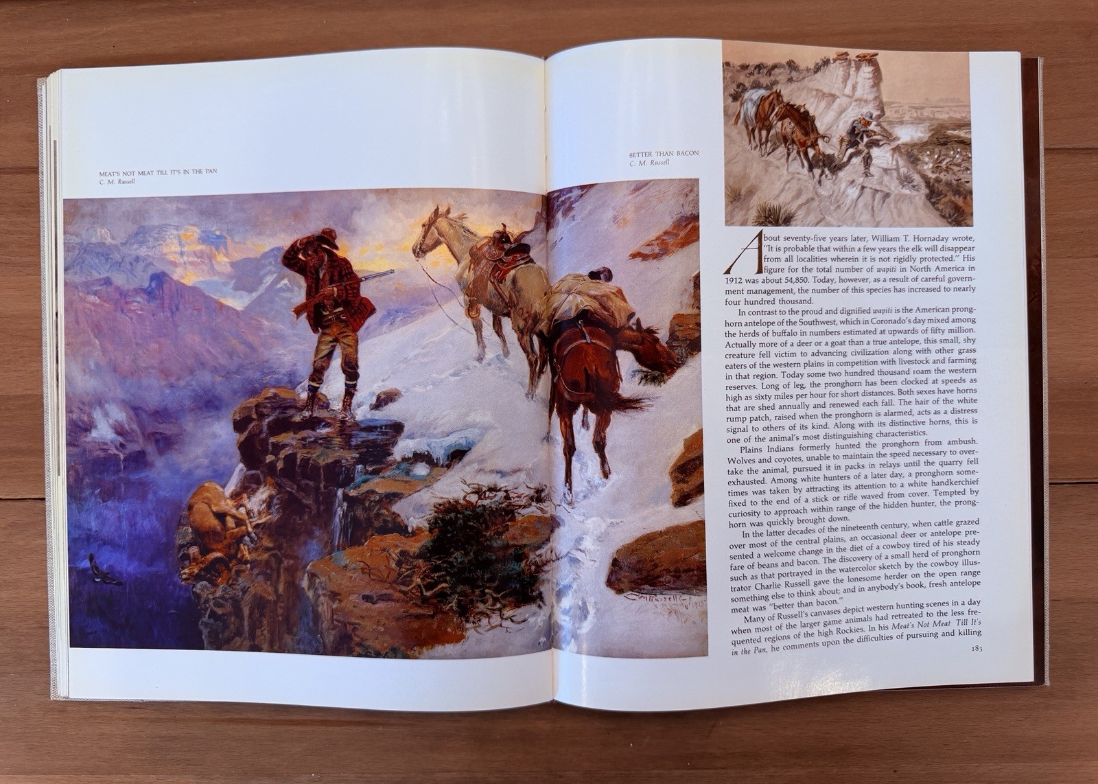 The Art of the Old West, Hunt, Rossi, Knopf, 1971 Printed in Italy Cloth Bound