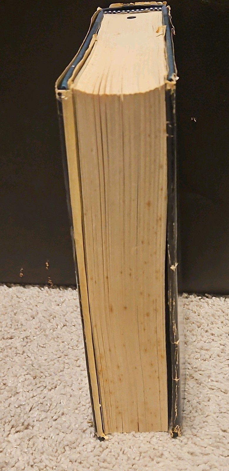 The Power of One by Bryce Courtenay (1989, Hardcover w/ Dust Jacket) BOMC Edtn.