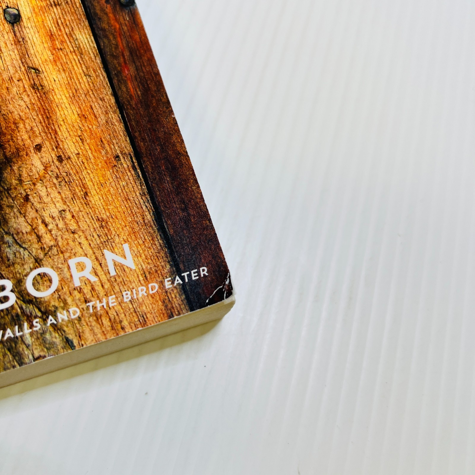 Brother by Ania Ahlborn (2015, Trade Paperback)
