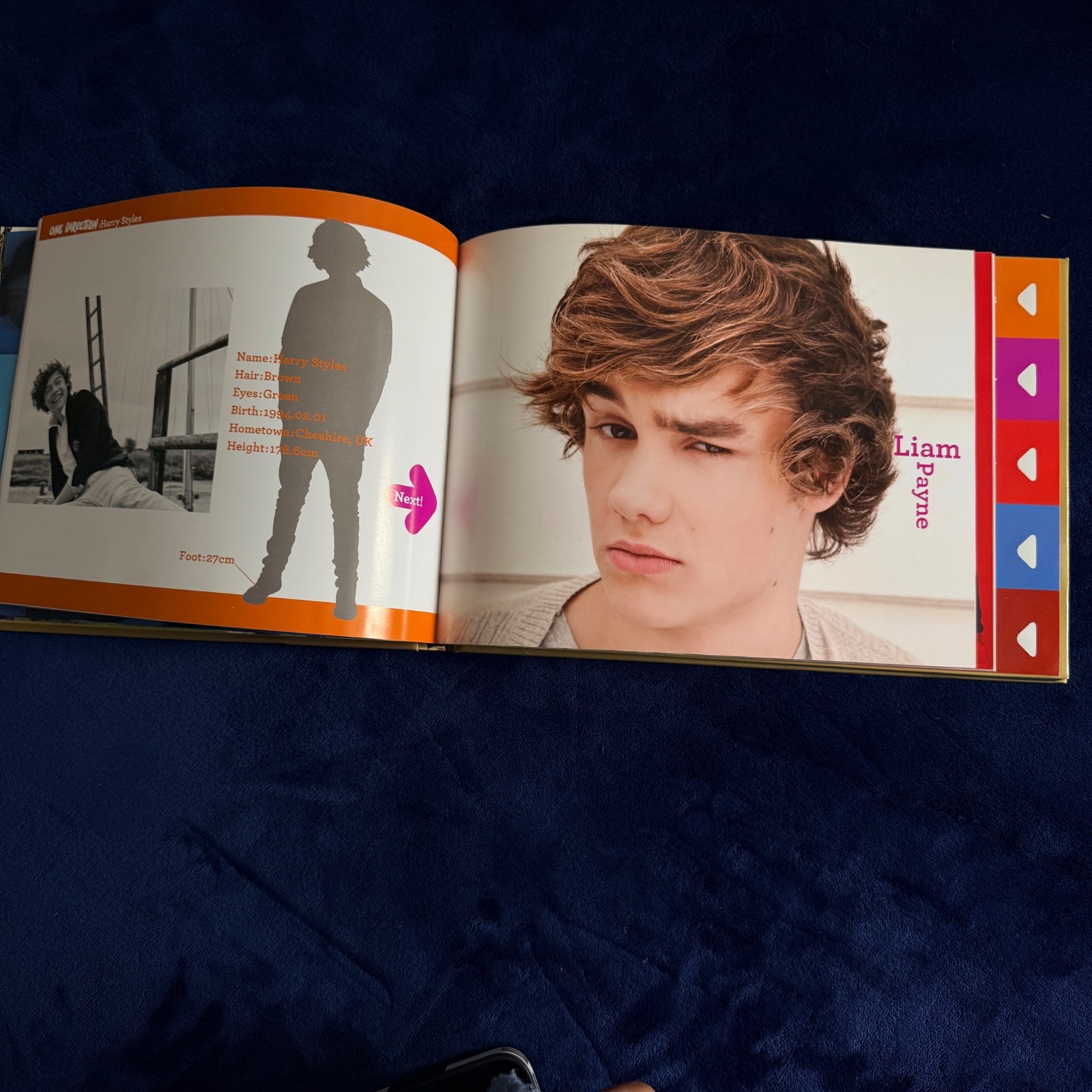 Holy Grail One Direction 1:One Talking Photo Book Japan Limited 2013 NEW Tested