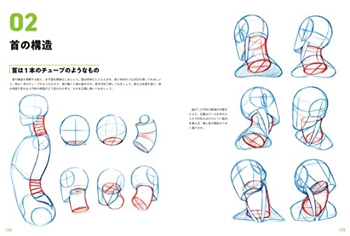 Master Guide to Drawing the Human Body Character Drawing From The Basics Book