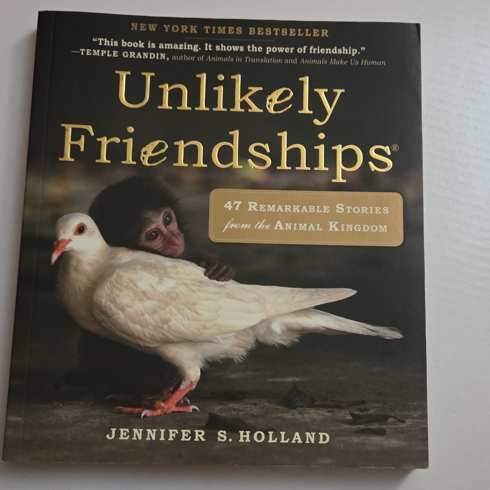 Unlikely Friendships Jennifer S. Holland Paperback Workman Animals Nature 2011