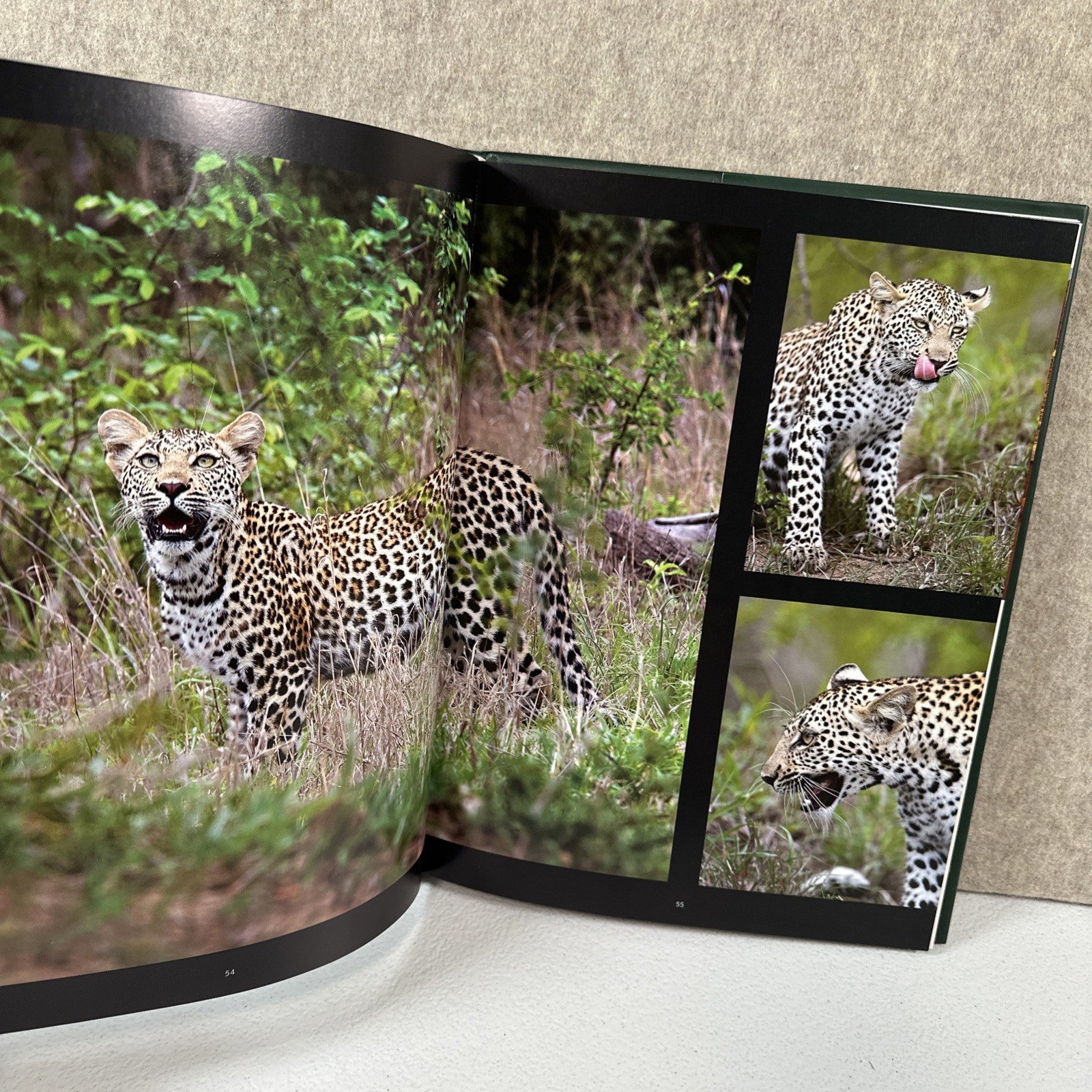 Kapama – Private Game Reserve by van den Berg, Heinrich Hardback Book The Fast