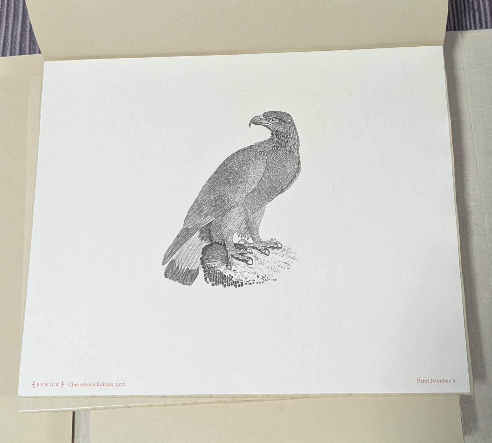 Portfolio of 100 Thomas Bewick Wood Engravings – 1970 Newberry Cherryburn Press