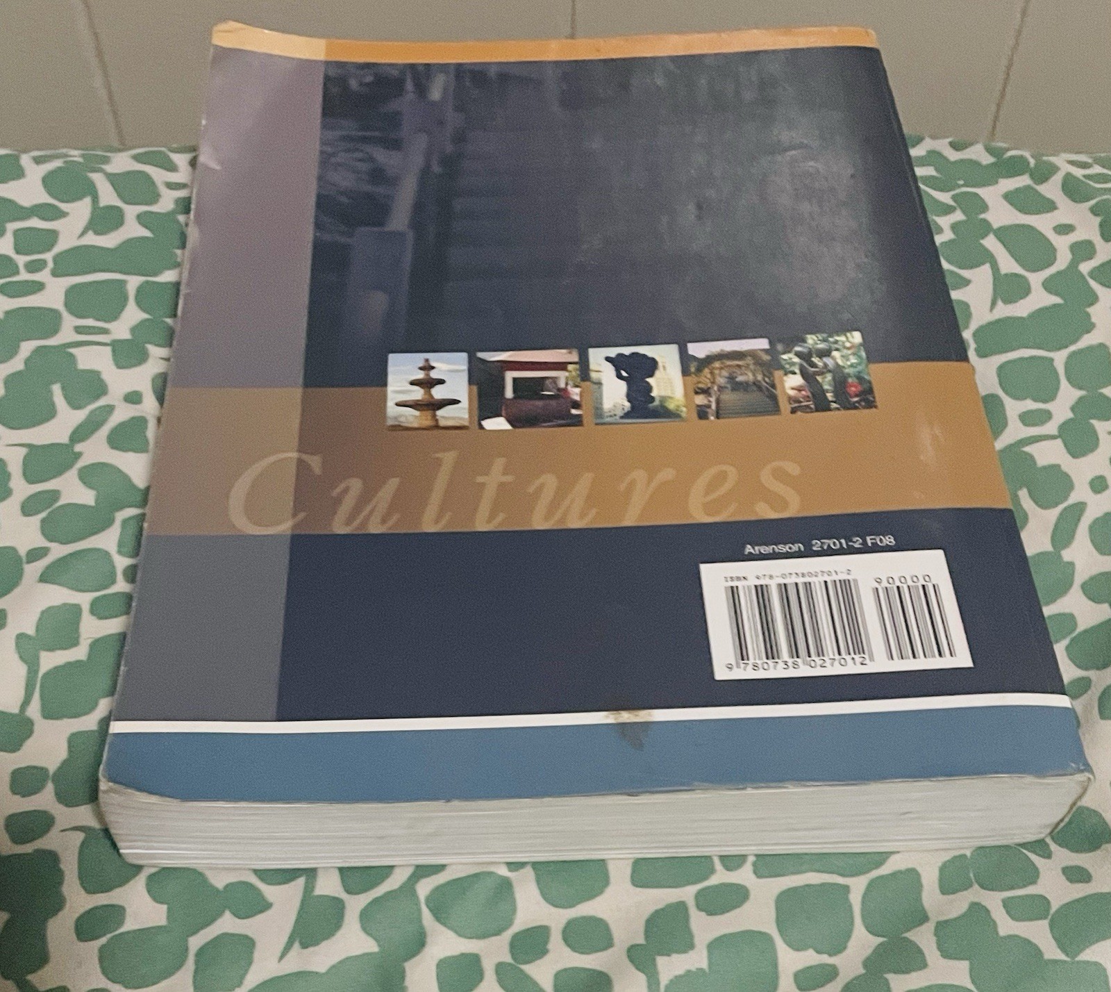 Textbook: Cultures of the United States 2nd Edition by Arenson & Miller-Thayer