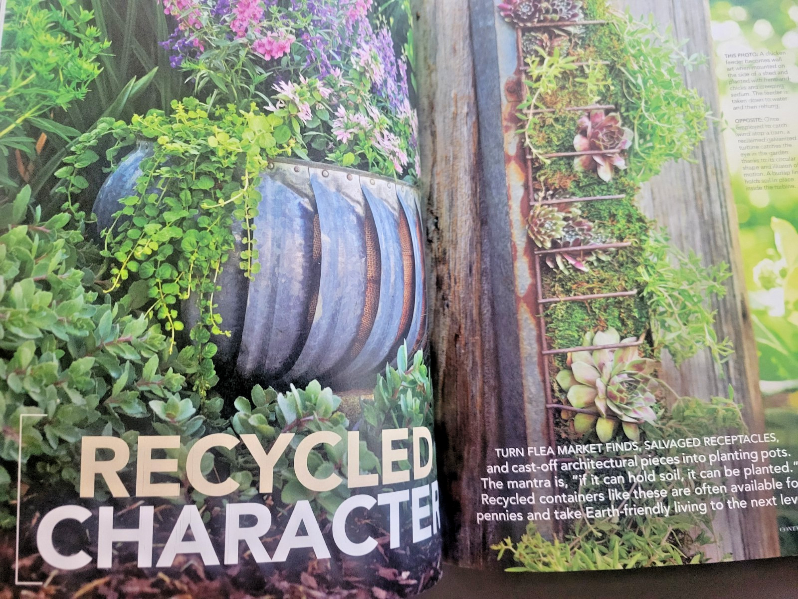 Container Gardening by BH&G – 100 Easy-Care Combos for Sun or Shade- Like A Pro
