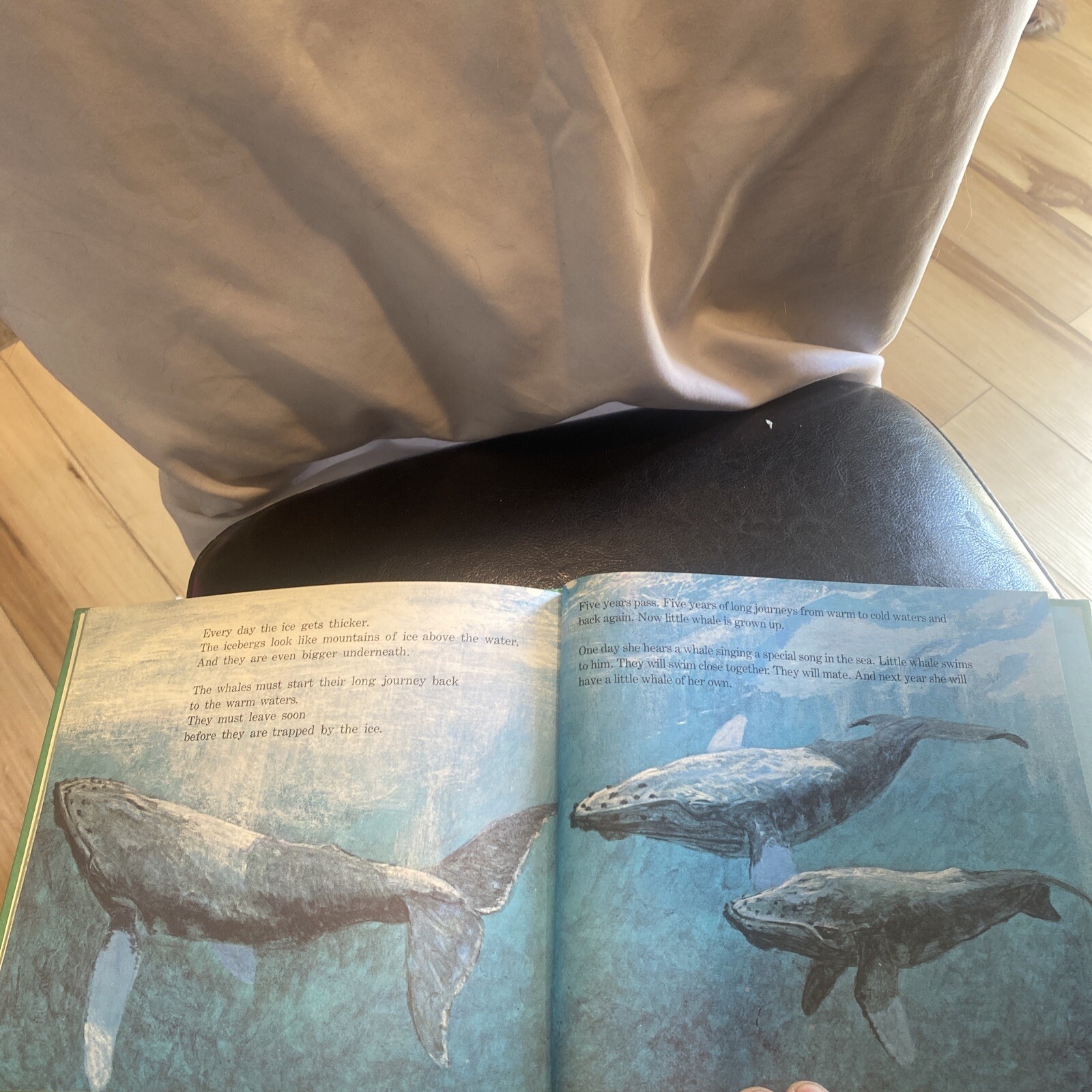 Little Whale. By Ann McGovern. 1979 HC Edition