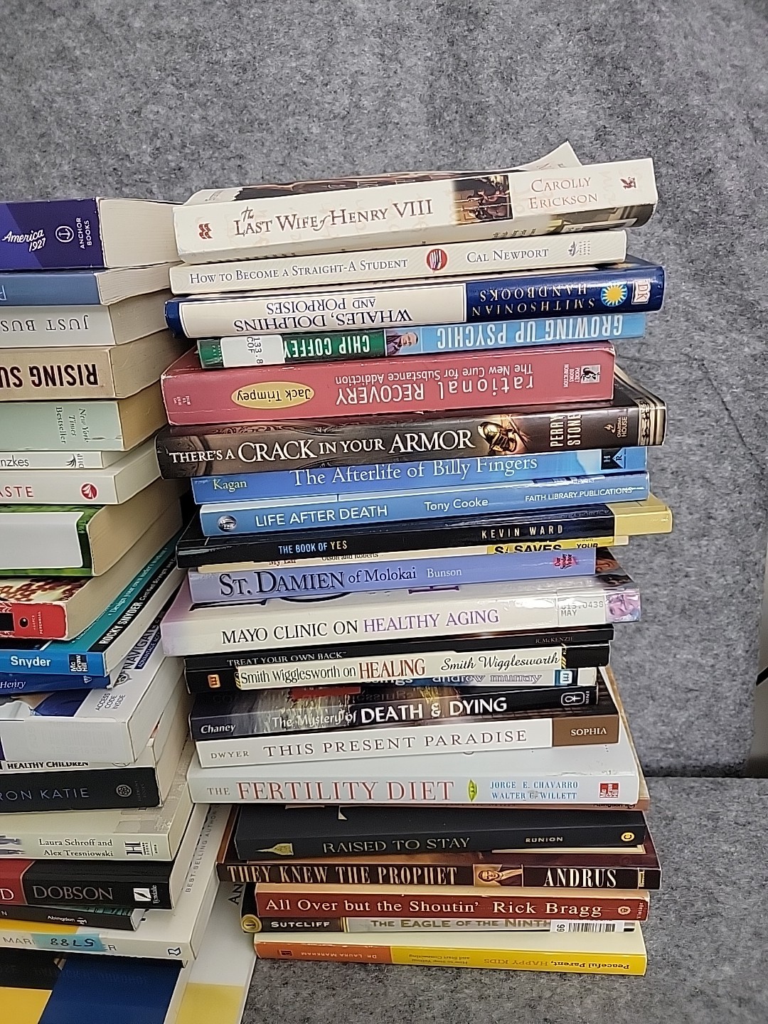 Big RANDOM MIX Lot 42 Paperback Fiction & Nonfiction Literature Mix Of Titles