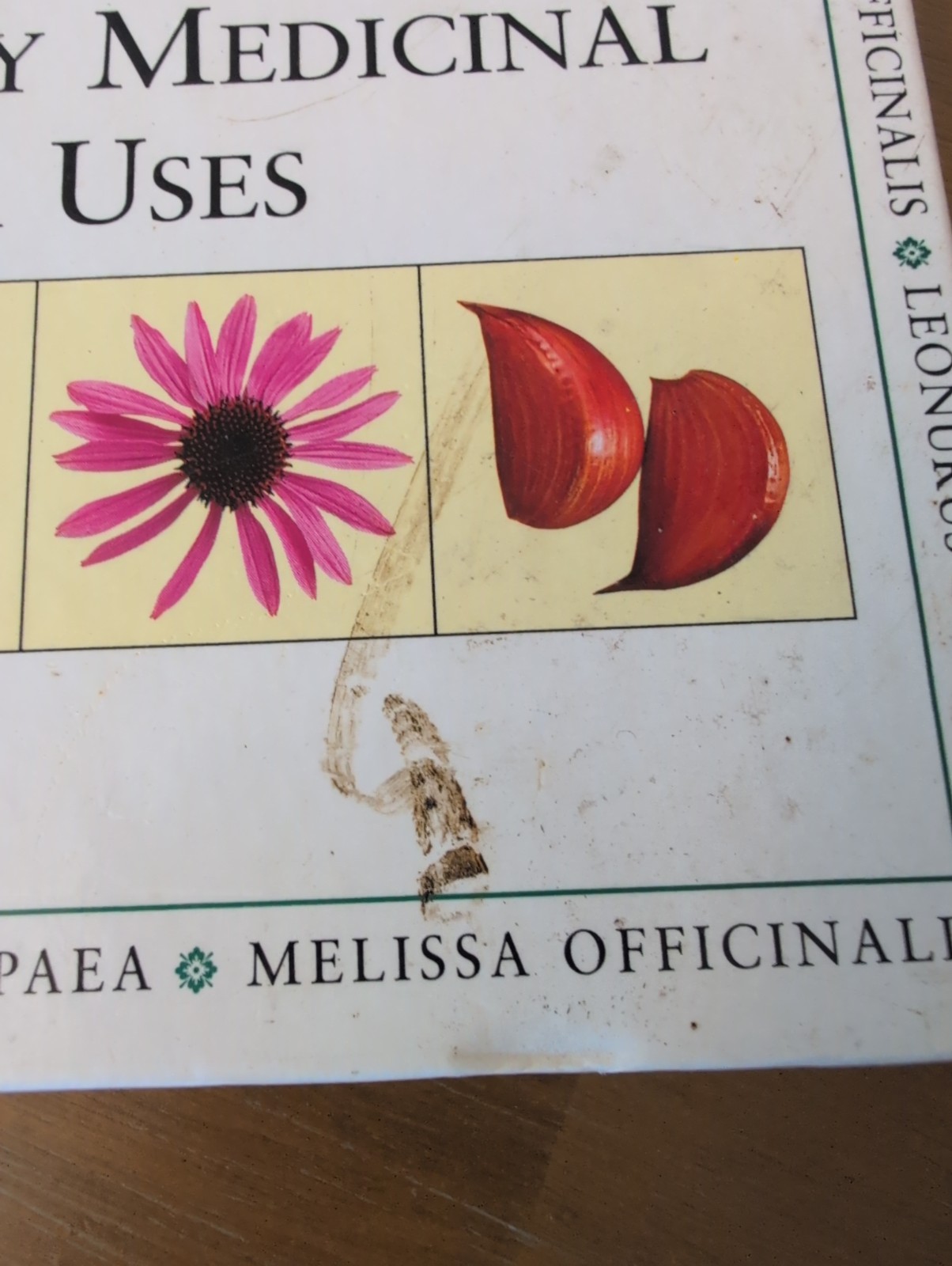 The Encyclopedia of Medicinal Plants: A Practical Reference Guide to over 550 HC