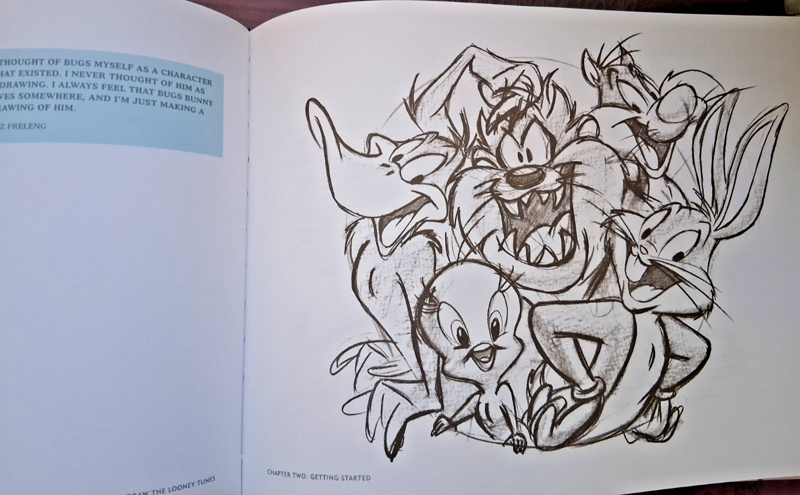 Draw The Looney Tunes Warner Bros. Character Design Manual 2005 Hard Cover Good