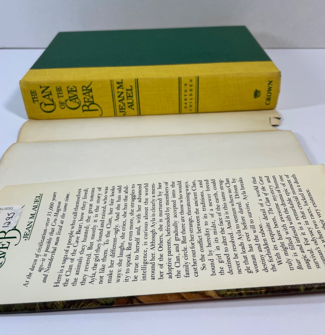 Earth’s Children Saga Clan of the Cave Bear Valley of Horses Mammoth Hunters