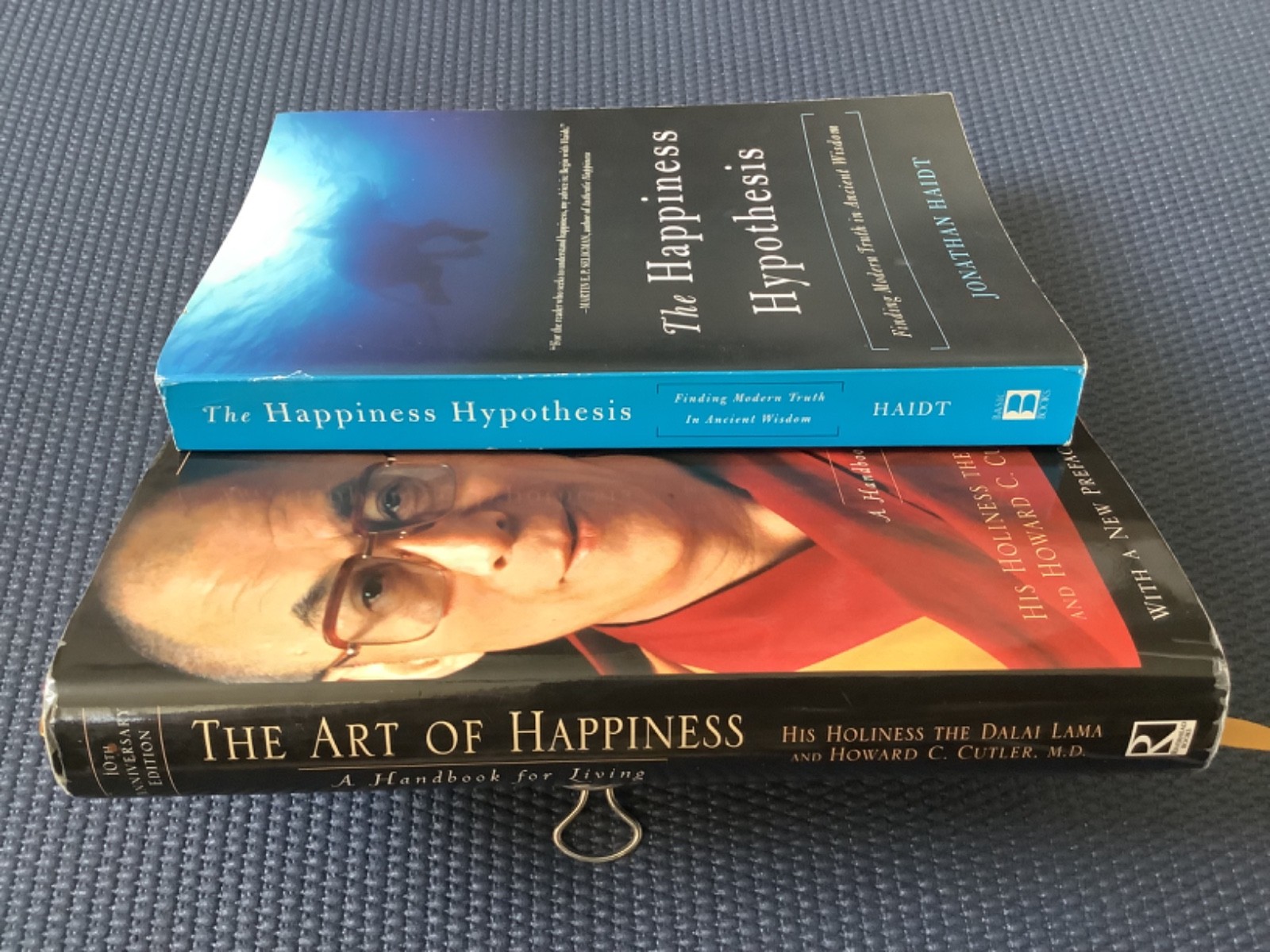The Art of Happiness Dalai Lama Hypothesis Jonathan Haidt Happy Psychology Books
