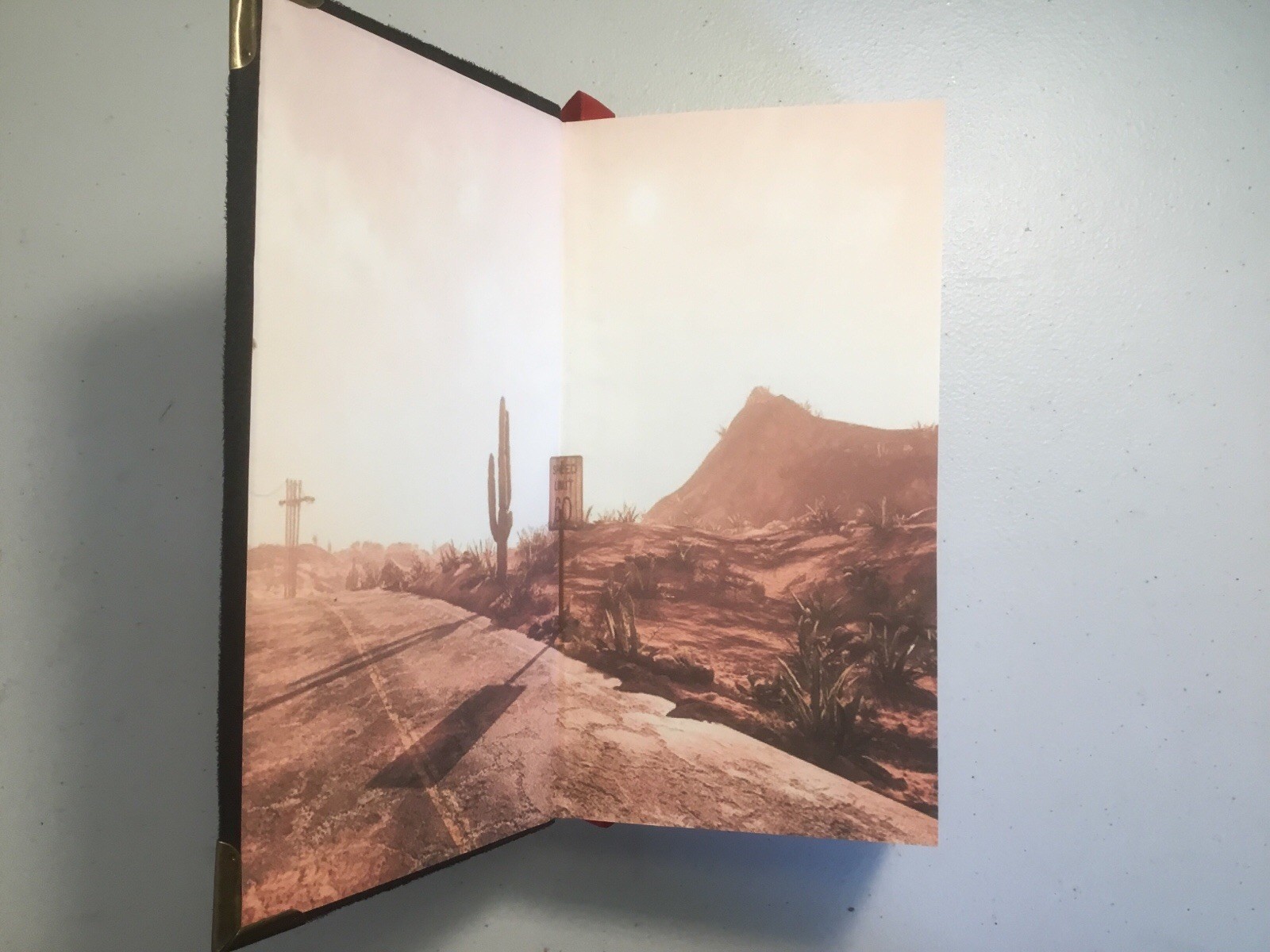 The Stand, Stephen King, Special Hardcover Edition, Custom Bound in Suede