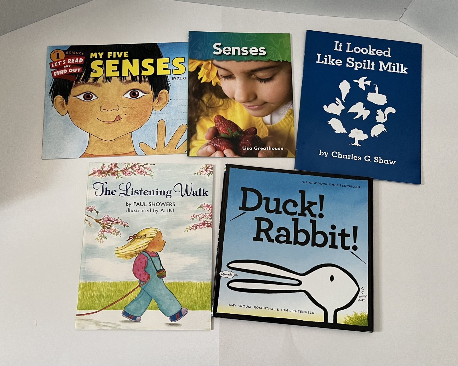 Five Senses Books Lot of 5 for Preschool & Classroom Like New
