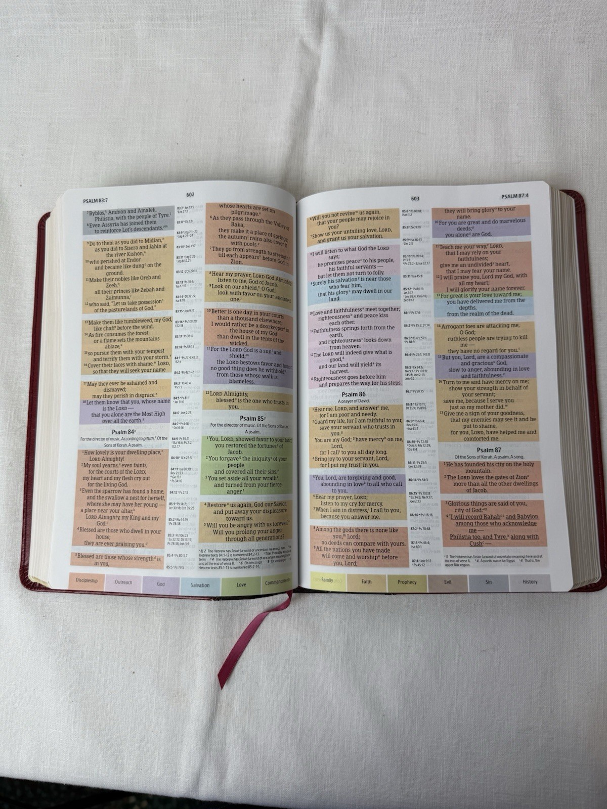 Holman Rainbow Study Bible NIV Holy Scriptures New International Version Leather