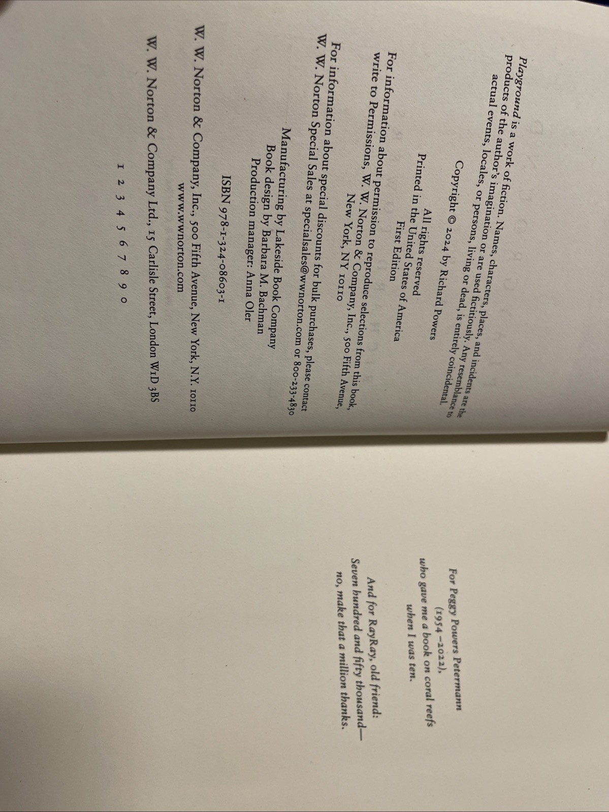 Playground Hardcover Richard Powers