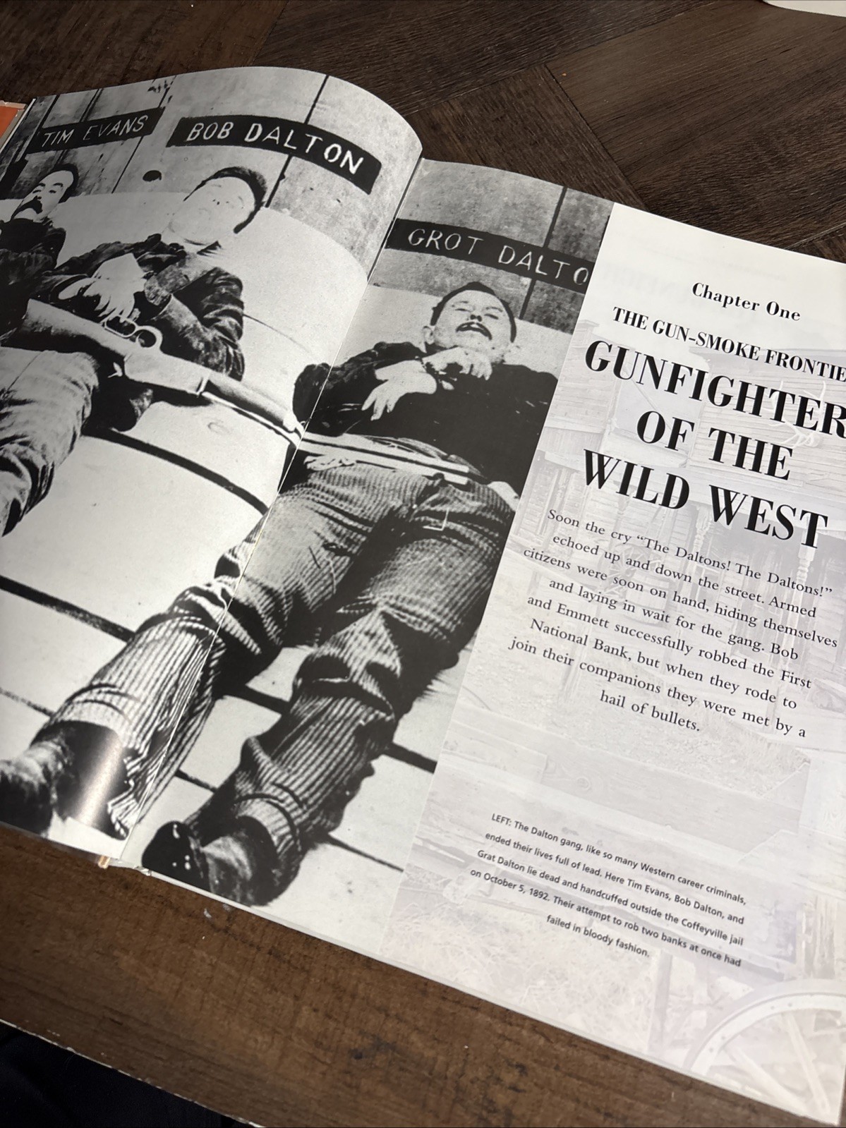 NEW Gunfighters: The Outlaws and Their Weapons by Chris McNab