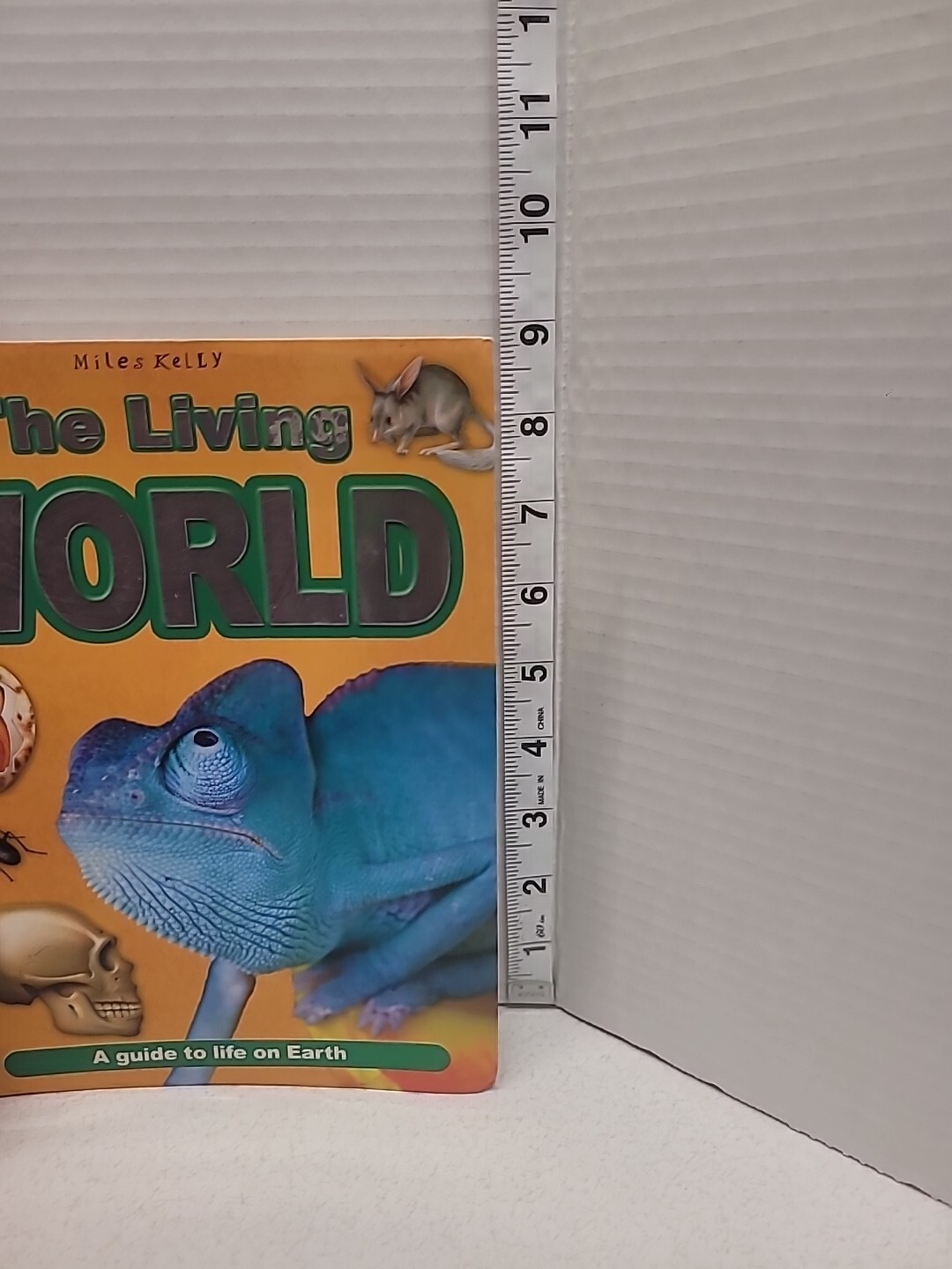 The Living World Paperback By Miles Kelly Life On Earth Illustrated 7″ x 9″