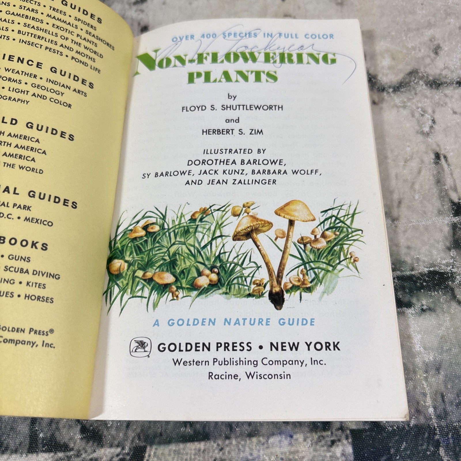 VTG 1967 Non Flowering Plants – Mushrooms and Other Fungi – Full Color Paperback