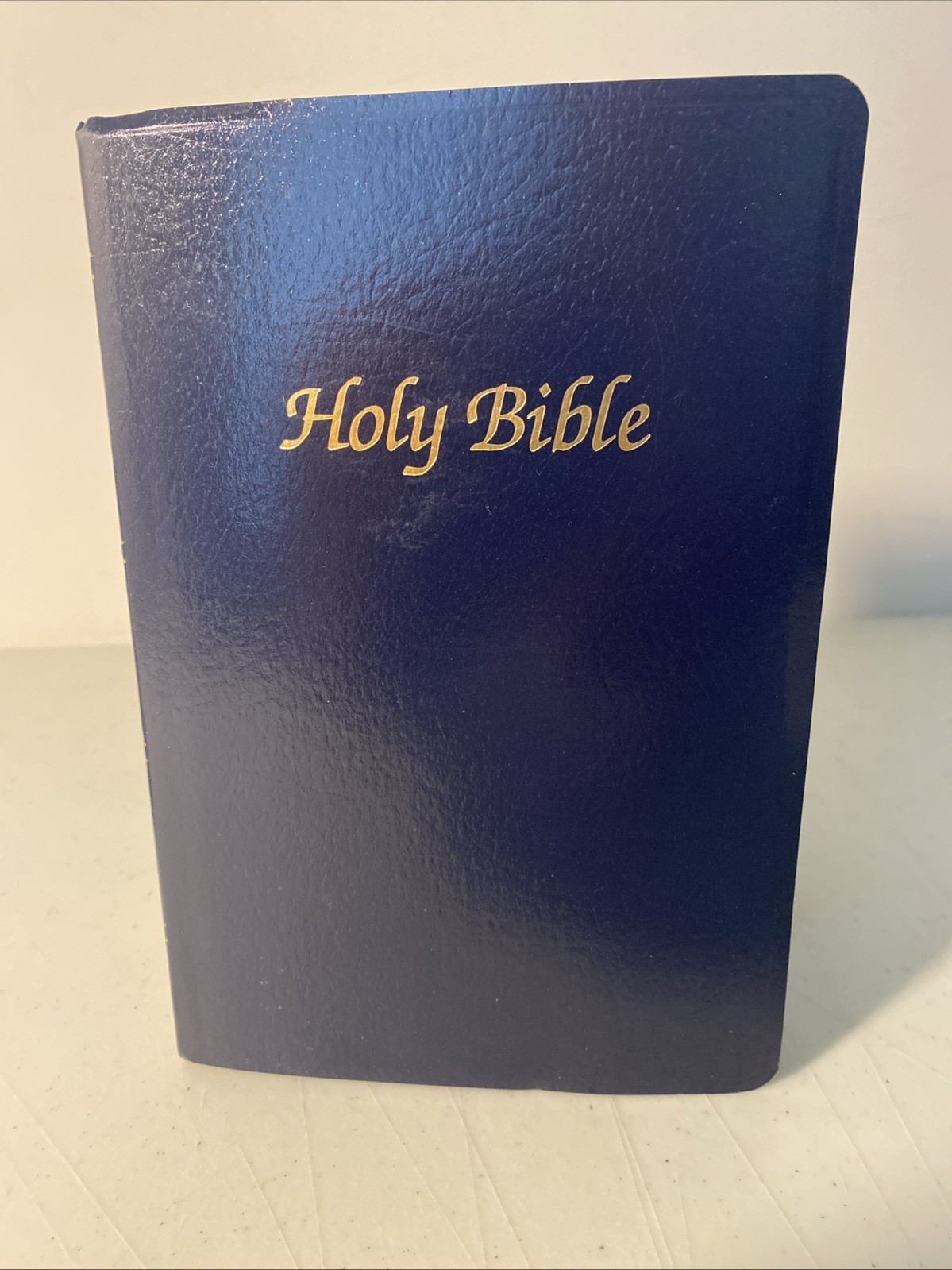 The New American Bible NAB Official Catholic Bible Catholic Word Press ~ VGC