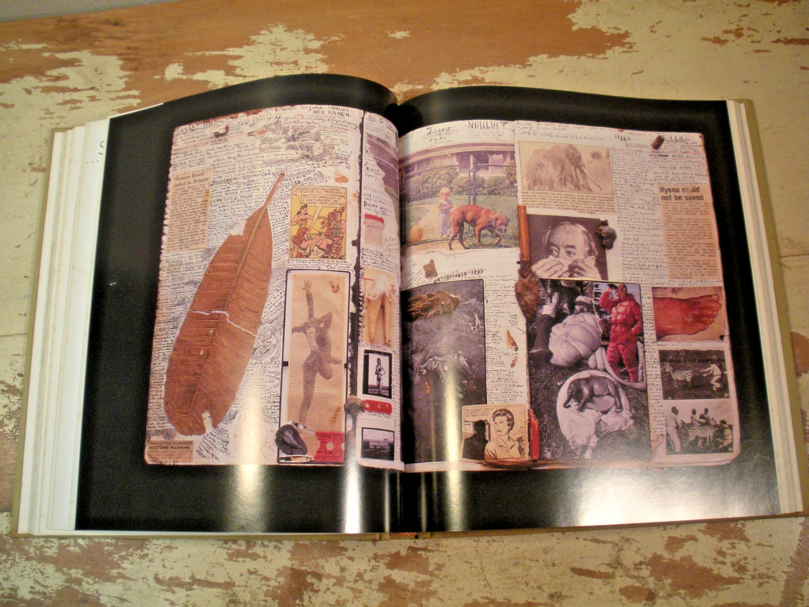 THE ADVENTURES AND MISADVENTURES OF PETER BEARD IN AFRICA 1993 HC/DJ 1st