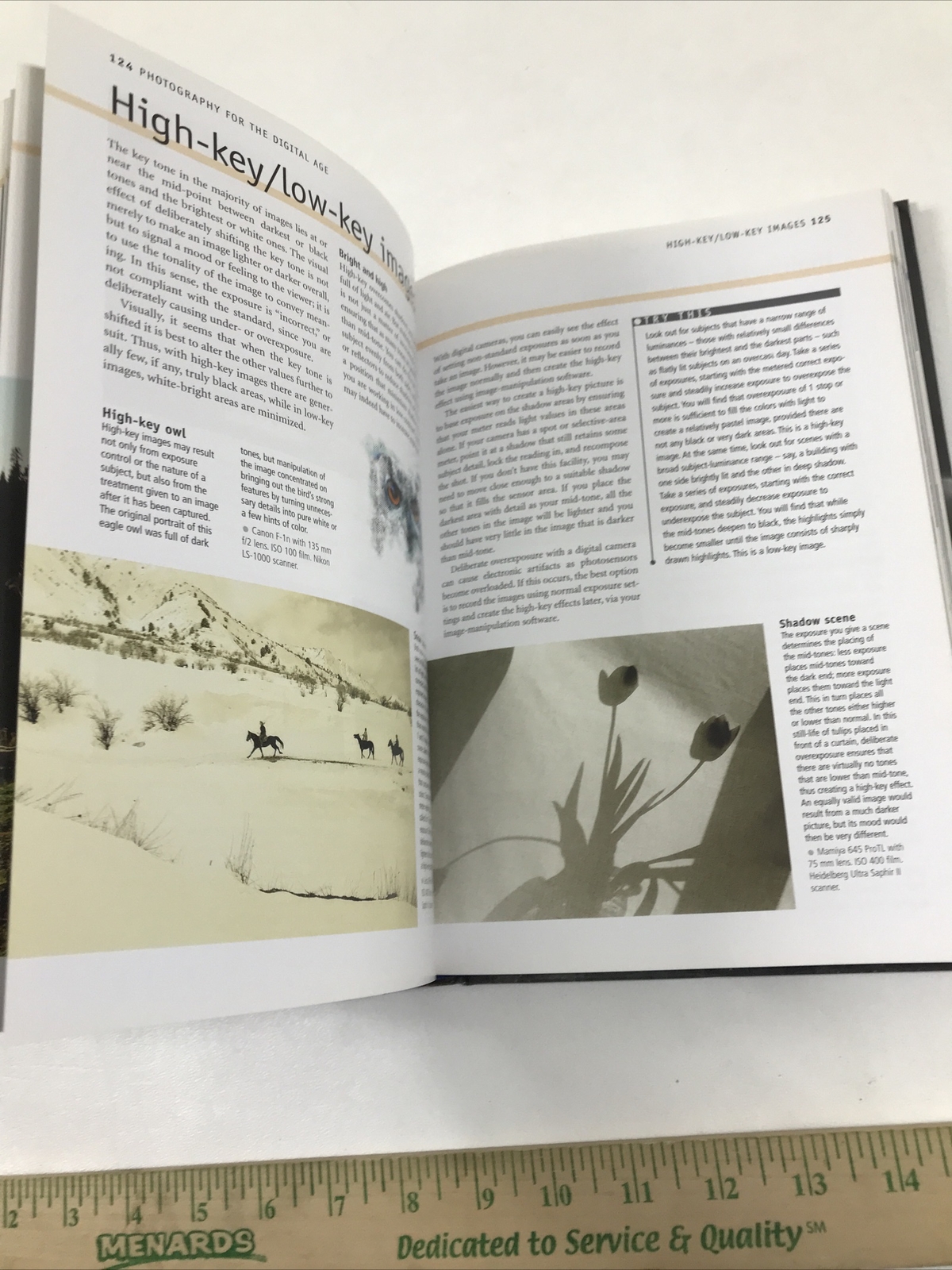 Digital Photographer’s Handbook – Tom Ang (2002 Hardcover)