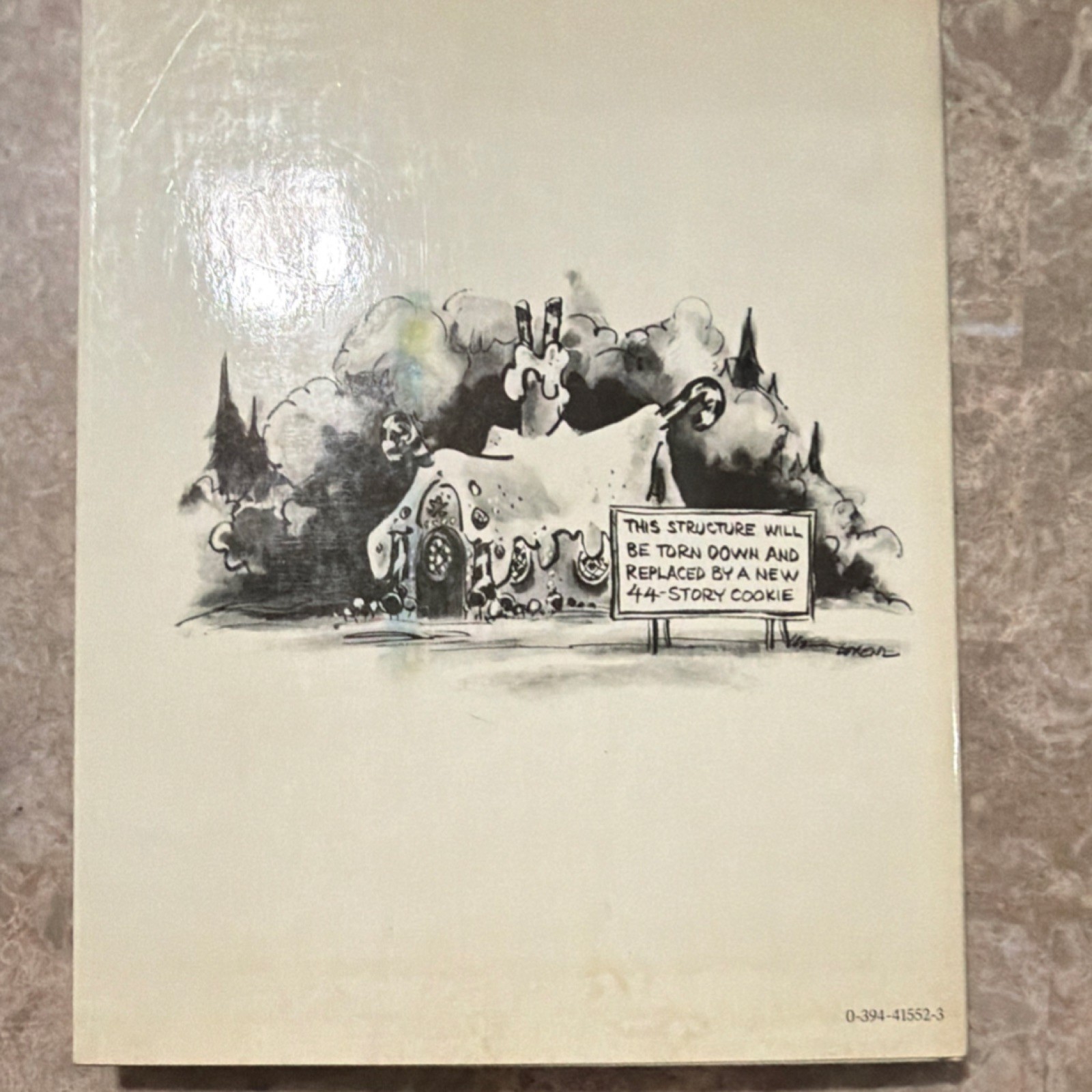 Pantheon Books Now Look What You’ve Done! Lee Lorenz Hardcover 1977 Illustrated