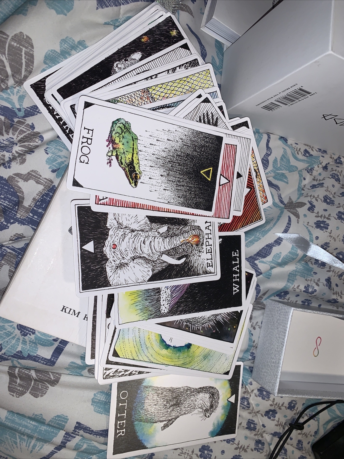 The Wild Unknown Ser.: The Wild Unknown Animal Spirit Deck and Guidebook…