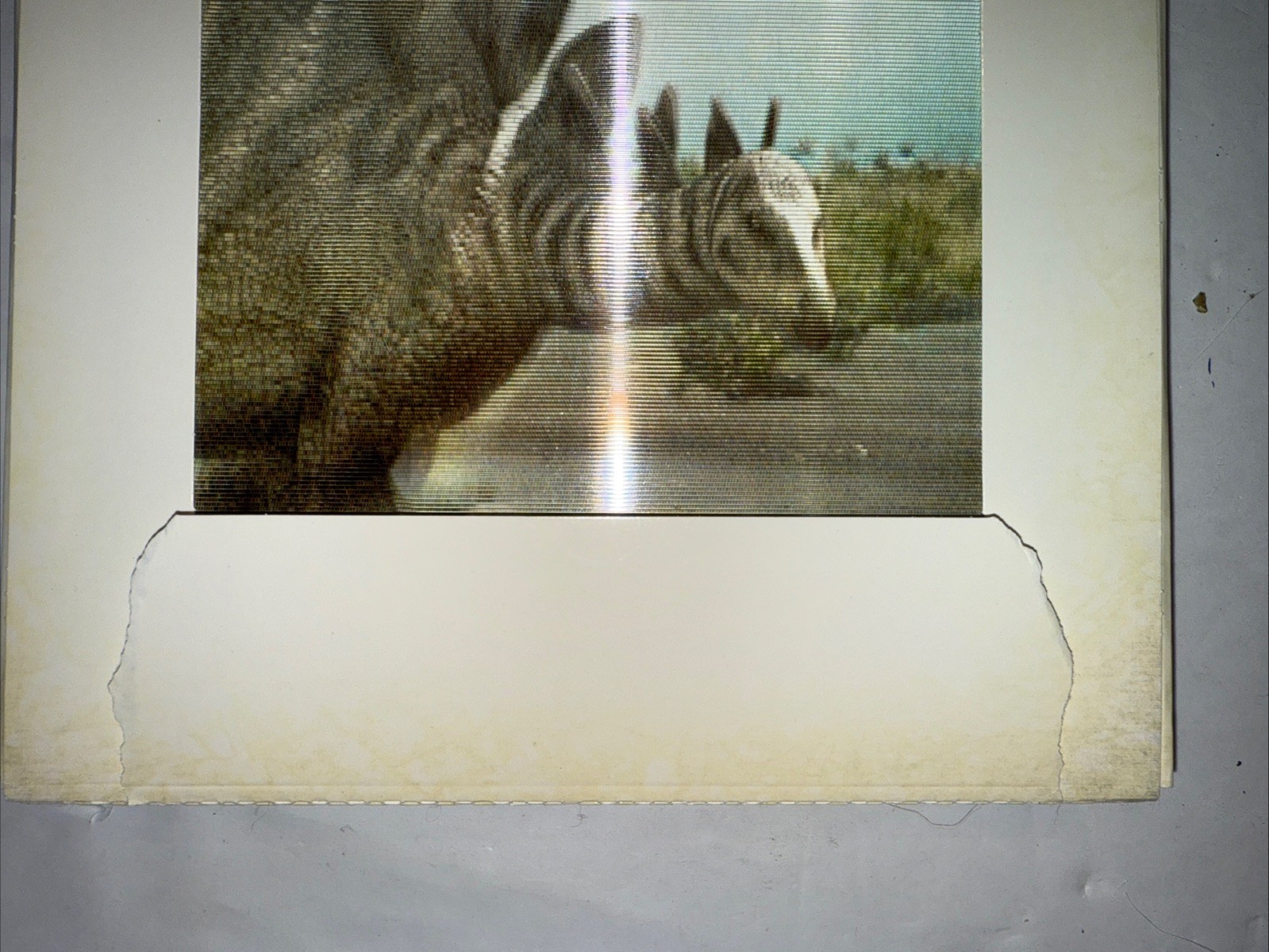 Dinosaur A Photicular Book Created By Dan Kainen Written By Kathy Wollard. Used