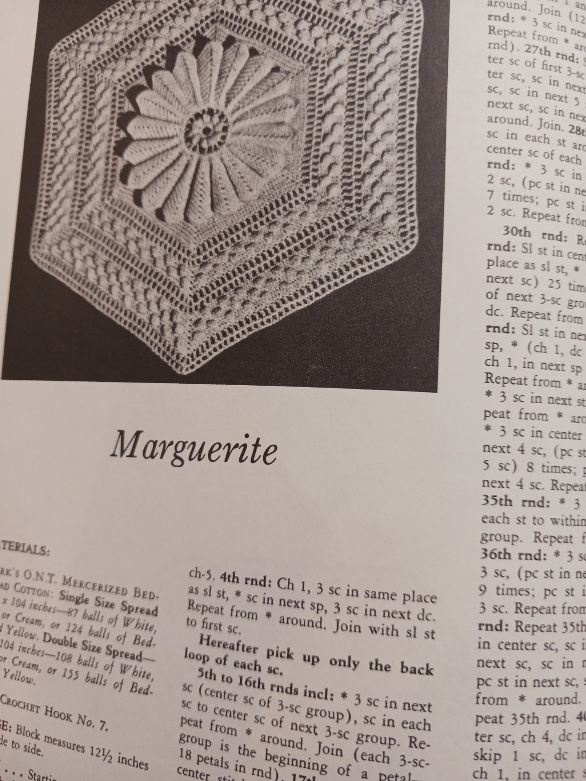 Masterpieces of Irish Crochet Lace: Tech, Patterns & Crocheters Treasure Chest