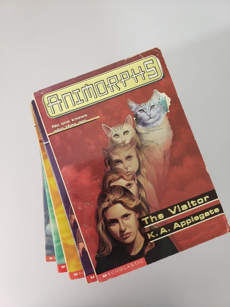 Animorphs Book Lot of 14 #2,3,6,7,9,10,15,17,19-24 K.A. Applegate Scholastic PB