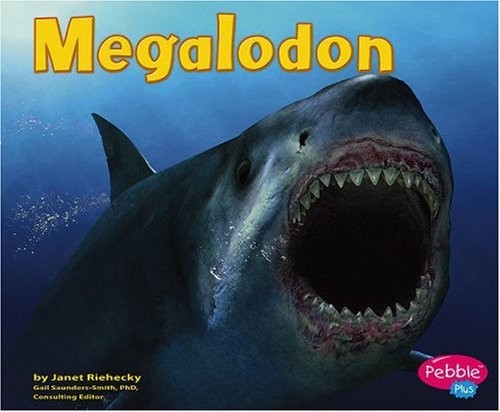 Megalodon Perfect Janet Riehecky