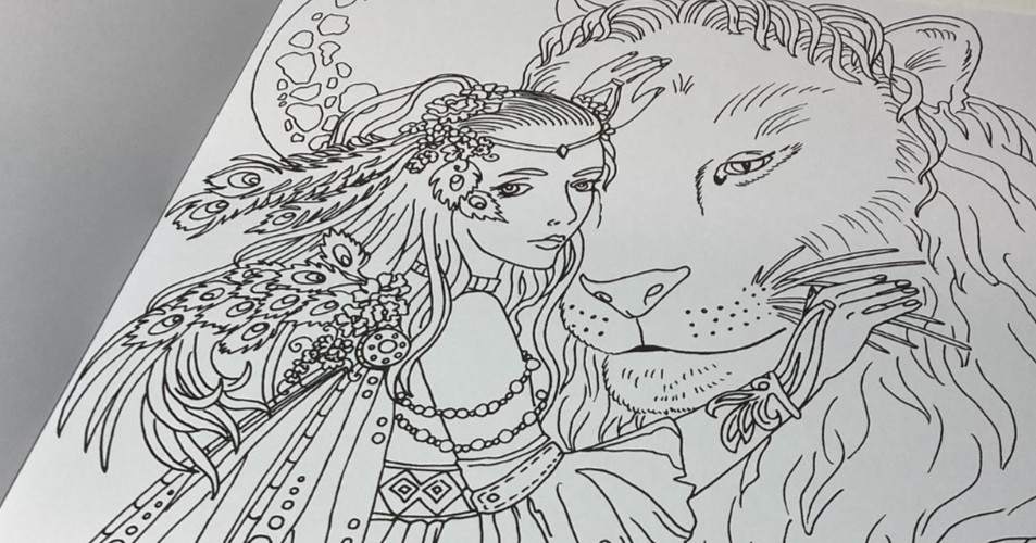 ENCHANTED Coloring Book Poster Art 20 pages