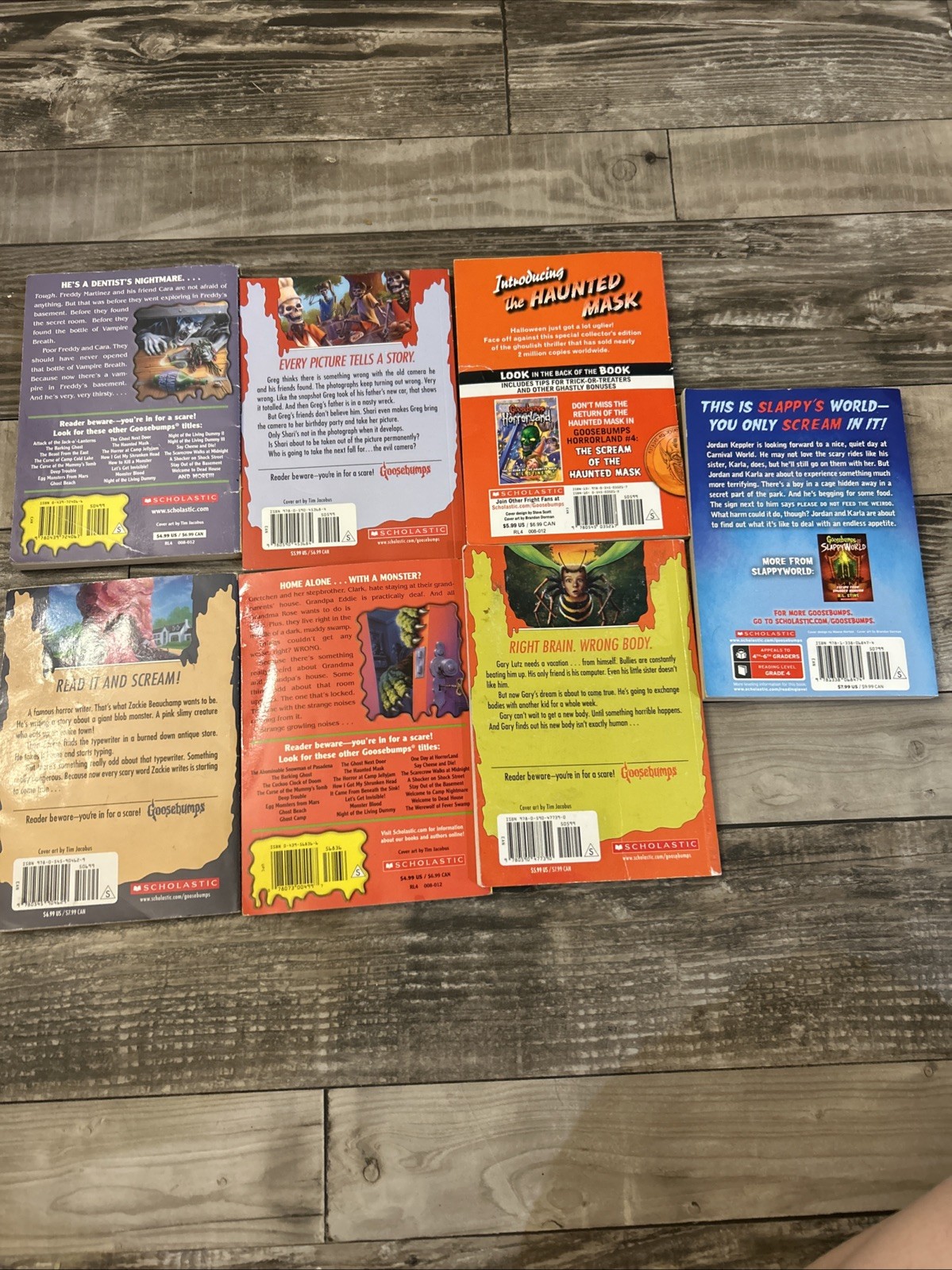 Misc R.L. Stine Goosebumps Sloppy World Horrorland Paperback Books