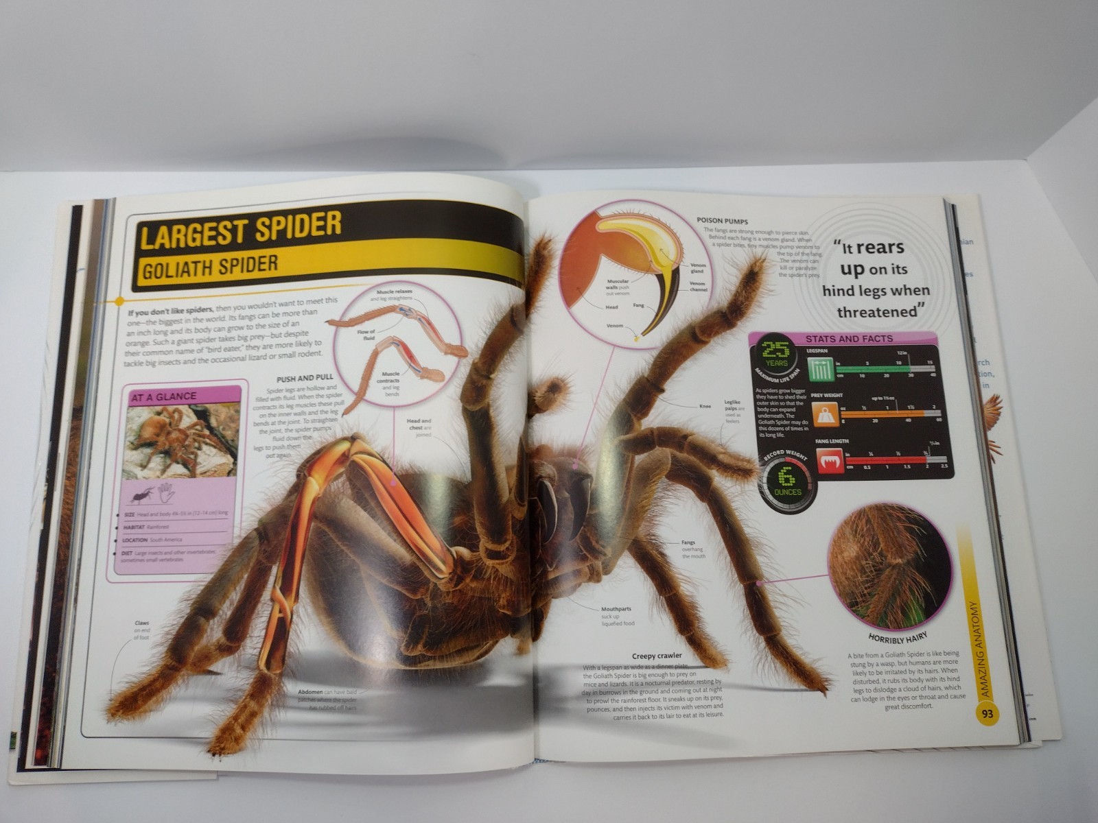 DK Smithsonian Institution Super Nature Encyclopedia 1st Ed 2013 Hardcover