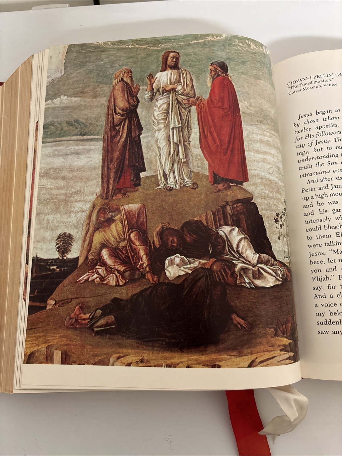 Holy Bible NAB Red. The New American Bible. Catholic Press World