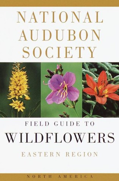 National Audubon Society Field Guide to Wildflowers : Eastern Har