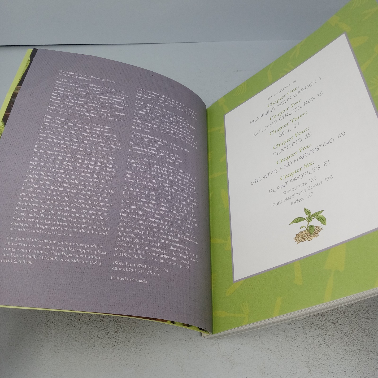 Raised-Bed Gardening for Beginners 2019 Rockridge Press Paperback by Tammy Wylie