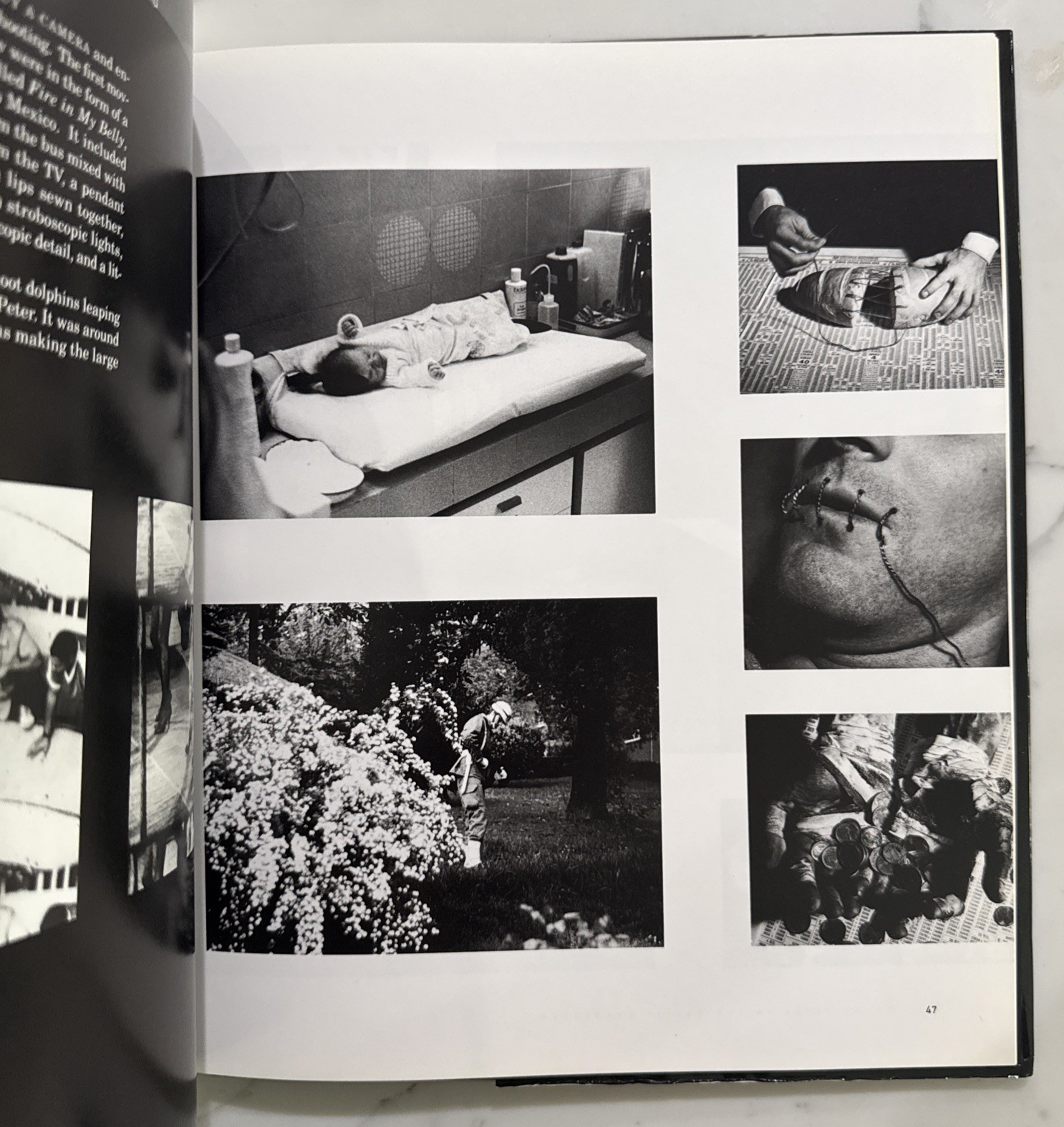David Wojnarowicz : Brushfires in the Social Landscape (Hardcover, 1st/1st 2002)
