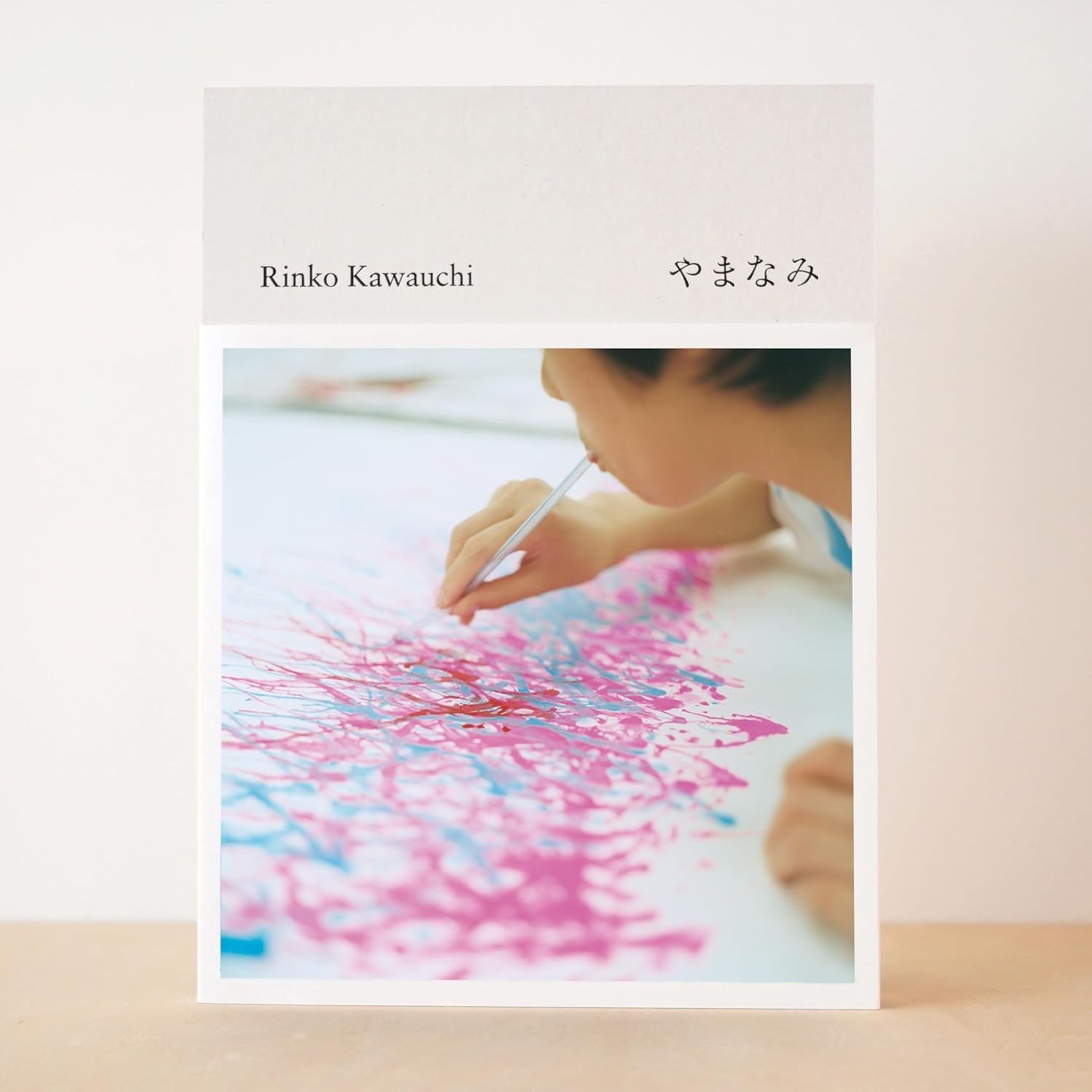 Rinko Kawauchi Yamanami Where Art Brut talent gathers Photo album 2022 from JP
